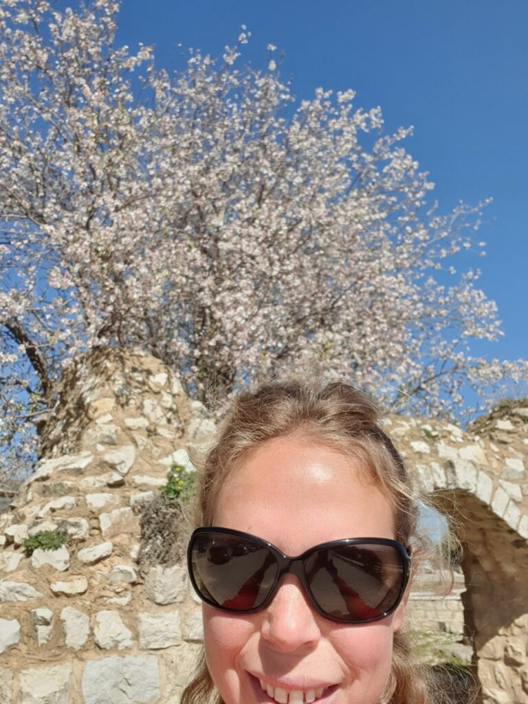 Day Tour to Safed