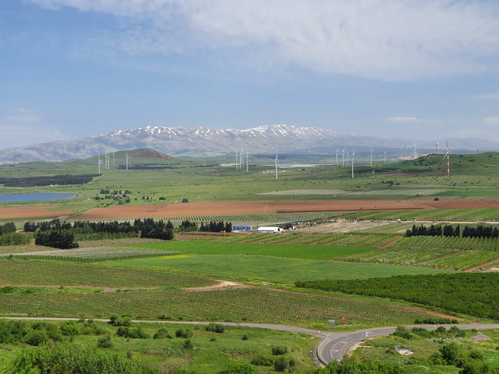 The Golan Heights