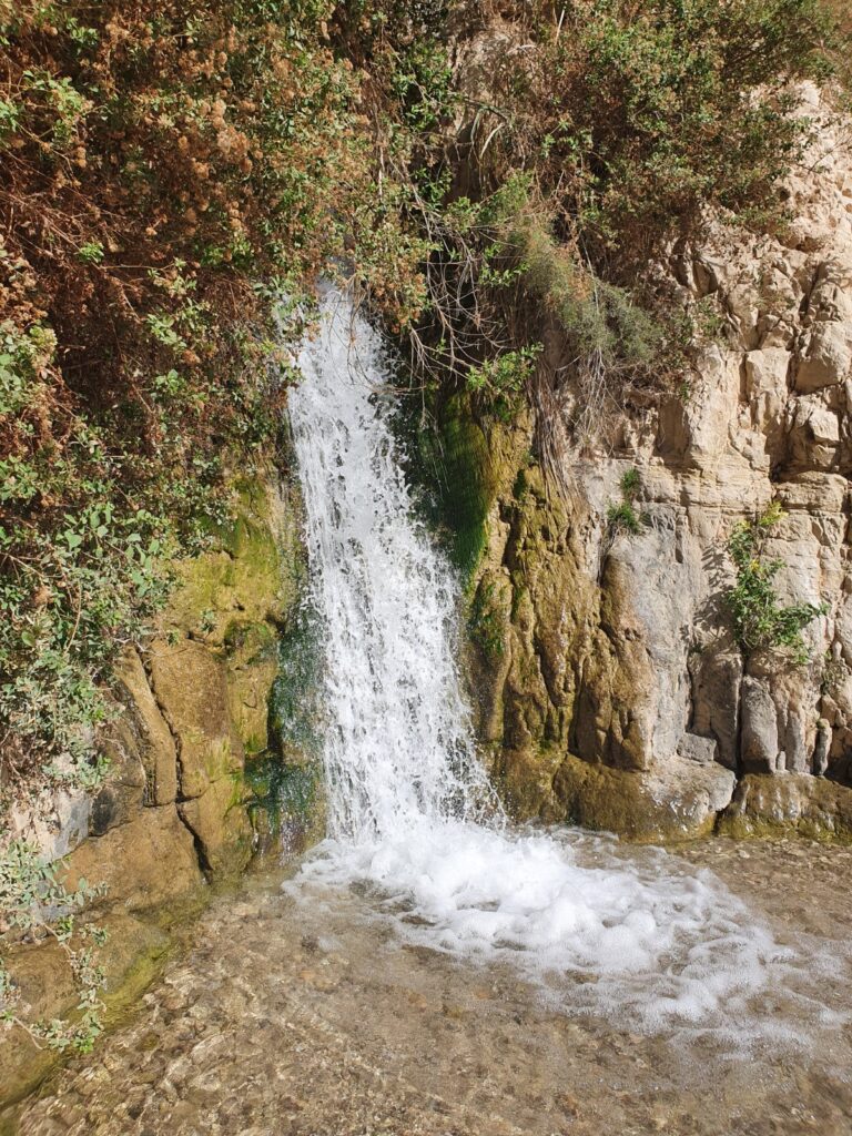 Waterfall in Nahal David